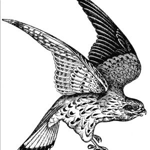 Meet your Posher, Walter